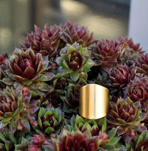Bague Yoni or fin lisse